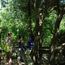 Fire Island's Sunken Forest