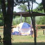 Yes, this tent is in Brooklyn.