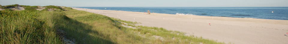 Miles of uncrowded white sandy beaches extend to the horizon, separating the clear blue ocean and undulating grass-covered dunes.