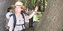 A park ranger points out features of a tree to visitors during a ranger program. A park ranger points out features of a tree to visitors during a ranger program.