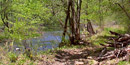 The Bluestone River with the Bluestone Turnpike Trail just to the right. The Bluestone River with the Bluestone Turnpike Trail just to the right.