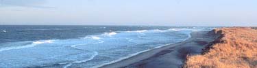 Coast Guard Beach, Eastham