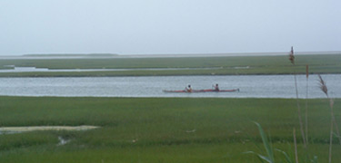 Kayakers in Nauset Marsh
