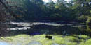 vernal pond vernal pond