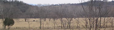 A field in floodplain adjacent to the Shenandoah River