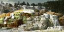 Image of Cleopatra Terrace, Mammoth Hot Springs, Yellowstone Image of Cleopatra Terrace, Mammoth Hot Springs, Yellowstone