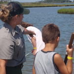A park ranger offers helpful tips to a young visitor using a seine net to collect marine organisms that thrive in the marshes and bay. A park ranger offers helpful tips to a young visitor using a seine net to collect marine organisms that thrive in the marshes and bay.