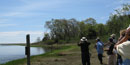 Group watching birds near marsh and trees. Group watching birds near marsh and trees.