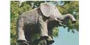 Elephant Elephant