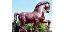 Leonardo's Horse Leonardo's Horse
