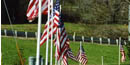 Flags at Memorial Cemetery