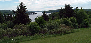 The wide Saint John River flows through the green countryside of the Saint John Valley.