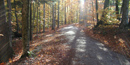 Autumn leaves, lit by the sun, carpet an uphill stretch of a carriage road. NPS Photo. Autumn leaves, lit by the sun, carpet an uphill stretch of a carriage road. NPS Photo.