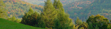 A view of Mount Ascutney and its neighboring rolling hills from a tree-lined autumn meadow. NPS Photo.