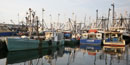 Fishing vessels in New Bedford harbor. Fishing vessels in New Bedford harbor.