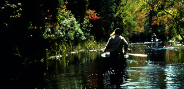 Canoeing in Pine Barrens