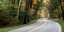 Shenandoah National Park’s scenic highway, Skyline Drive, winds through a tunnel of trees in all their fall color glory. Shenandoah National Park’s scenic highway, Skyline Drive, winds through a tunnel of trees in all their fall color glory.