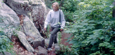 A hiker follows a trail between ancient rocks and lush forest.