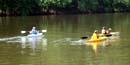 visitors kayak on the schuylkill river visitors kayak on the schuylkill river