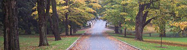 Main entrance to Vanderbilt Estate: October 2006