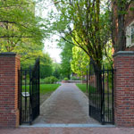 Looking into Rose Garden