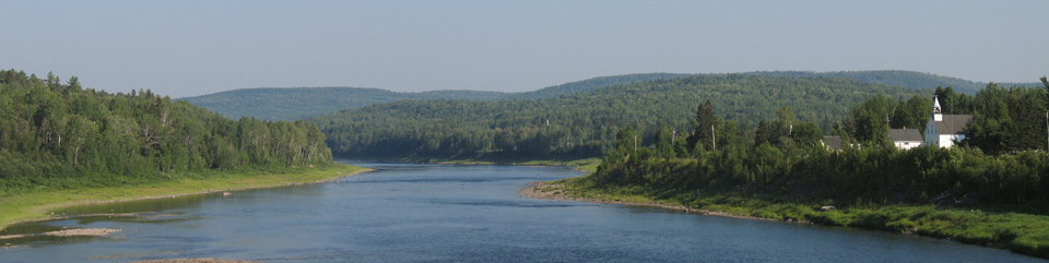 Wooded river with church along banks
