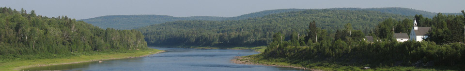 Wooded river with church along banks