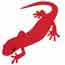 Salamanders