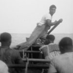 A Cape Verdean whaleboat crew rowing a whaleboat