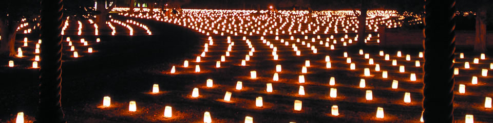 Poplar Grove National Cemetery Luminary Event (photo courtesy of Joanne Williams)
