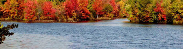 Trees in autumn colors on the banks of Cumberland Pond.