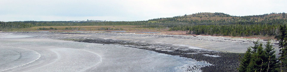View of coast from trail