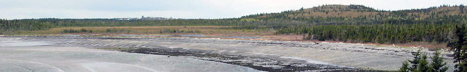 View of coast from trail