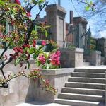 Hahn Memorial Springtime