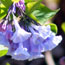 Photo Gallery