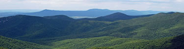 A summer view of the Blue Ridge Mountains.