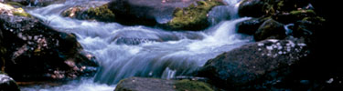Water rushes over worn rocks in a mountain stream.