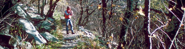 A hiker takes a break on the Appalachian Trail.