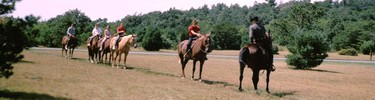 Horseback Riding in Shenandoah
