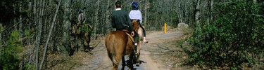 Pair of riders heading down the trail.