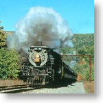 A steam locomotive pulls a seasonal passenger excursion
