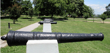 Patterson_Cannons3-homepage