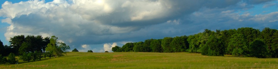 Valley Forge Meadow Credit: Bill Moses