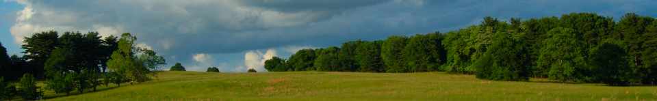 Valley Forge Meadow Credit: Bill Moses