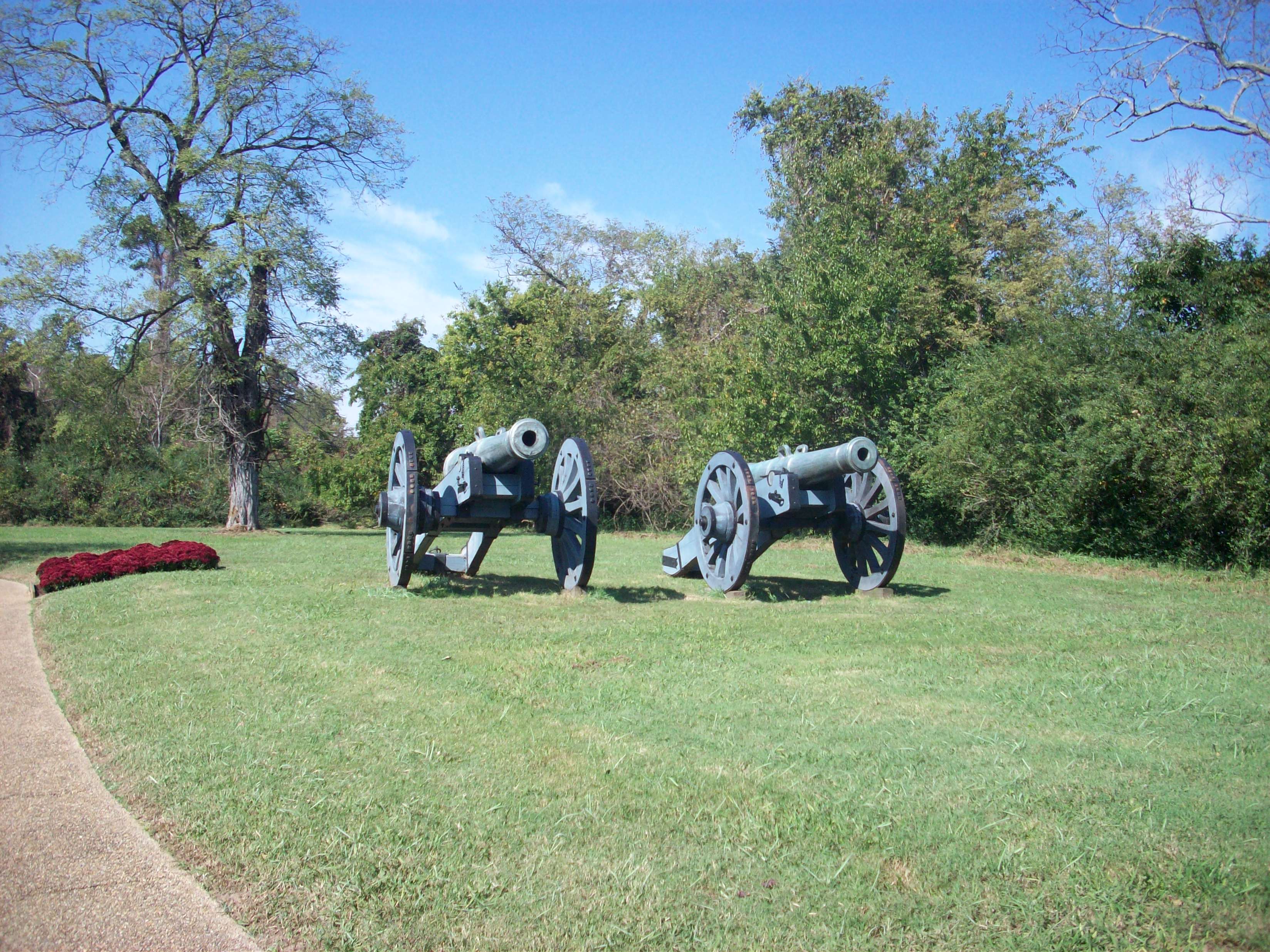Cannon