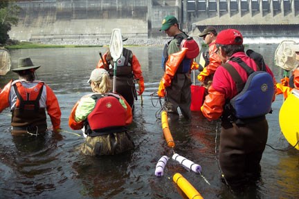 LTEMS volunteers working in the river