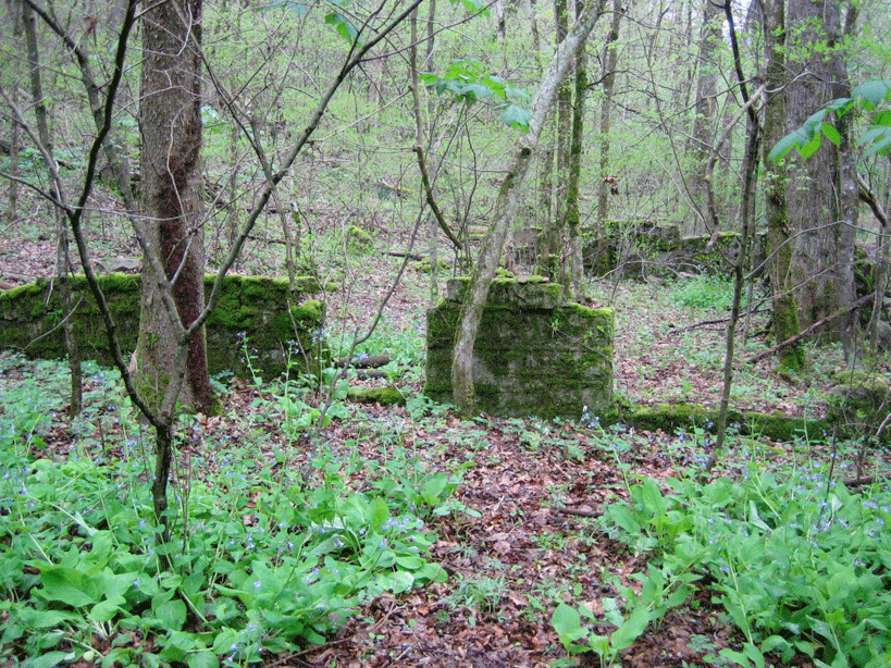 moss covered foundations in the forest