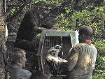 NERI Peregrine Project - Photo 2