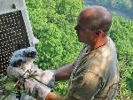 NERI Peregrine Project - Photo 3