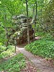 Tunnel Trail
